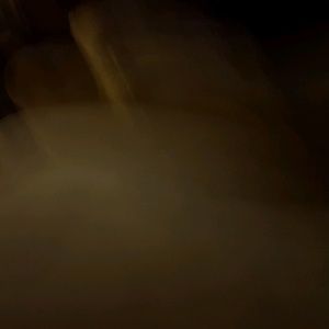 Meet your Posher, Diego